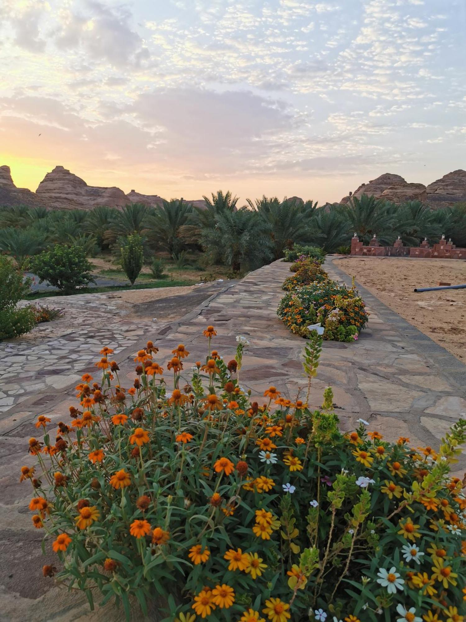 فندق Naseem ,S Country نزل النسيم الريفيHouse العلا المظهر الخارجي الصورة